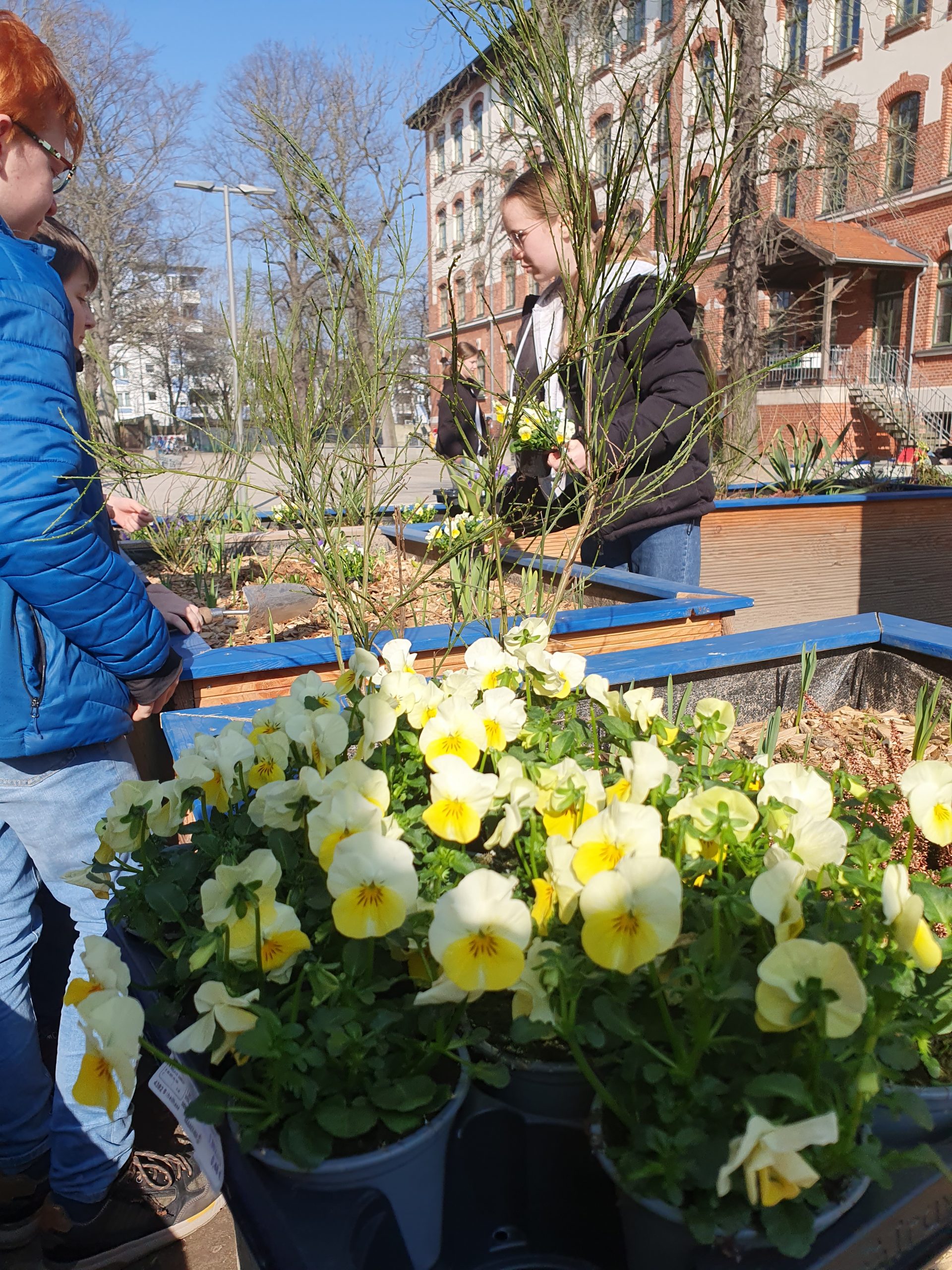 Der Frühling hält Einzug am Kepler